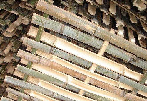 南阳竹笆厂家圣卓建材 专业打造优质建筑竹笆材料