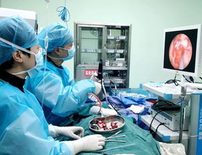 医疗技术新突破 西充县人民医院耳鼻咽喉科在鼻内镜与超声技术领域的卓越实践